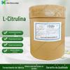 L-Citrulina Grau Alimentício Suplemento Nutricional L-Citrulina em Pó 372-75-8