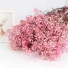 Buquê de Gipsofila Seca Preservada Flores Secas Brancas Flores Reais Secas ao Ar Flores Grandes Decoração de Sala de Estar Arranjo de Flores Flores para Fotografia de Casamento
