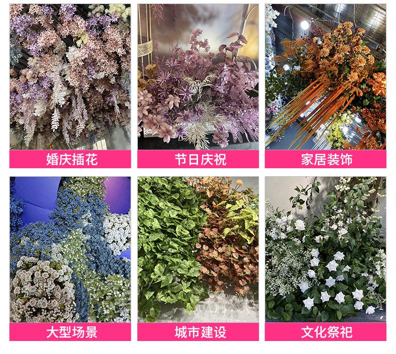 龙宇宇龙详情_09