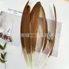 Pluma de Cuchillo de Pavo Real 30-40cm Performance Escénico de Jardín de Infancia Accesorios Hechos a Mano Material DIY Accesorios Reales de Pavo Real