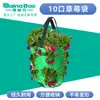 Bolsas de Cultivo de Tela No Tejida en Stock, Bolsas de Cultivo de Fresas de Venta Caliente, Cubos de Cultivo de Fieltro de Jardinería de 10 Bocas, Bolsas de Crecimiento para Plantas