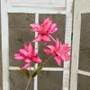 3 Flores de Lirio Simulación 3D Pequeño Libro Rojo Mismo recomendar Boda Decoración de Boda Flor Ventana Fotografía Paisaje