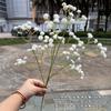 Comércio exterior novo céu estrelado branco artificial sentir céu estrelado casamento coreano mão segurando estrada chumbo decoração flor falsa atacado