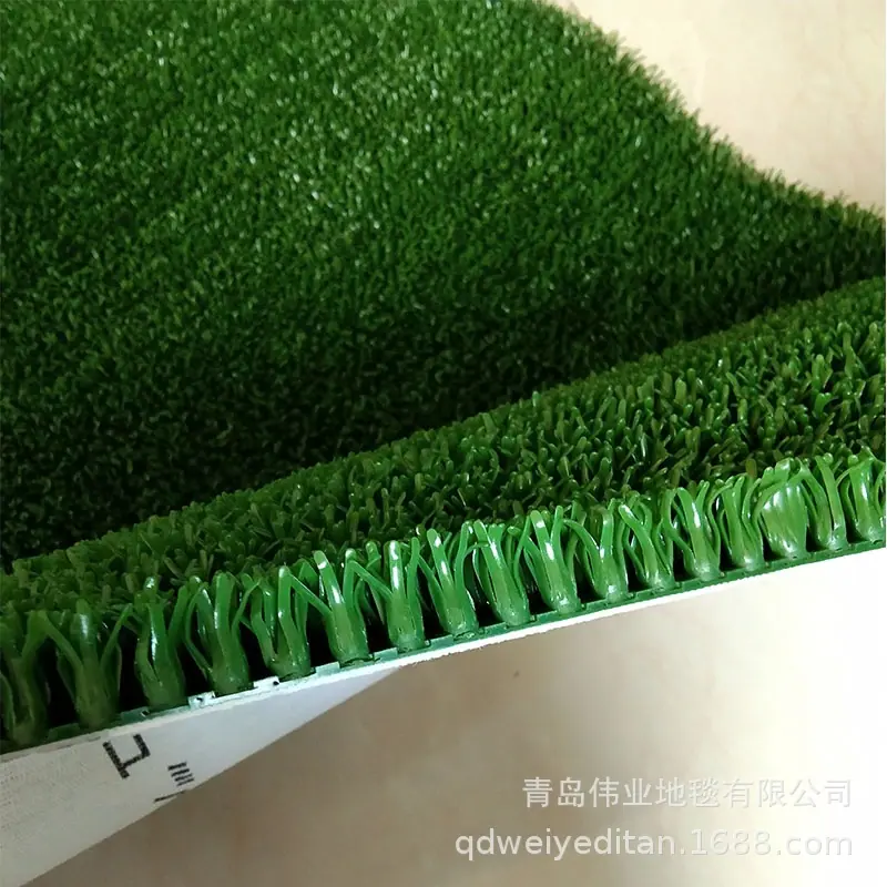 淘金草