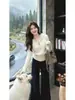 Chaqueta de punto trenzado para mujer, suéter con capucha estilo coreano para primavera y otoño, sudadera de manga larga, prenda exterior versátil