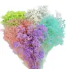 Arranjo de Flores para Decoração de Casa, Estilo Fresco e Natural, Flores Preservadas, Buquê Sonhador de Gipsofila Estrelada Atacado