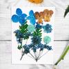 Material de Embalagem para Flor Seca Transfronteiriça Flor para Marca-páginas diy Flor Seca com Cola Gota Capa de Celular com Flor Seca Embotada Espécime de Planta Embotado
