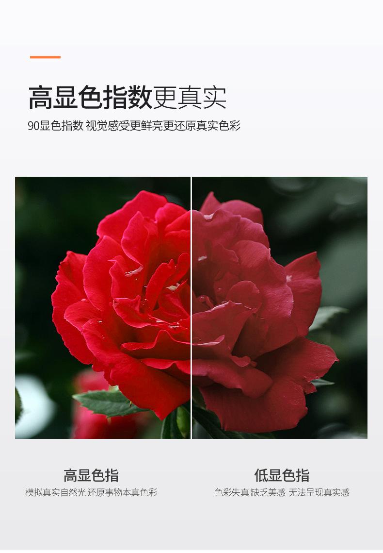 1 (10).jpg