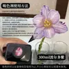 Colorante para flores, absorbente de color para rosas, solución absorbente de color, tinte, colorante para ramos y floristerías