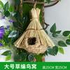 Árbol Vid Vid Vid Roja Montaña Uva Hoja Rama Planta Verde Tubería Decoración Paisaje Biónico Cobertura