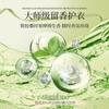 Camellia Coagulação de Lavanderia Bolinhas Perfumadas Bola de Líquido de Lavanderia Multi-efeito Cinco-em-Um Produtos Genuínos Loja Oficial Bandeira Fragrância Duradoura