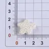 Acessórios de Resina com Concha de Estrela-do-Mar Azul Mineral Mais Vendidos para Tamancos DIY, Atacado do Fabricante
