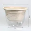 Maceta autorriego Potos maceta automática perezosa que absorbe agua maceta transparente plástico maceta especial para Potos venta al por mayor