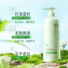 Fragancia Juvenil Aceite Suave de Gardenia Control de Grasa Champú para Adolescentes Esponjoso Anticaspa Anti-Picazón Suave Fragancia de Larga Duración