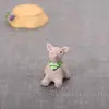20 Estilos Mirando el Cielo Estrellado Tamaño Mini Accesorios de Paisaje Micro Animales Artesanía de Resina Accesorios para Macetas