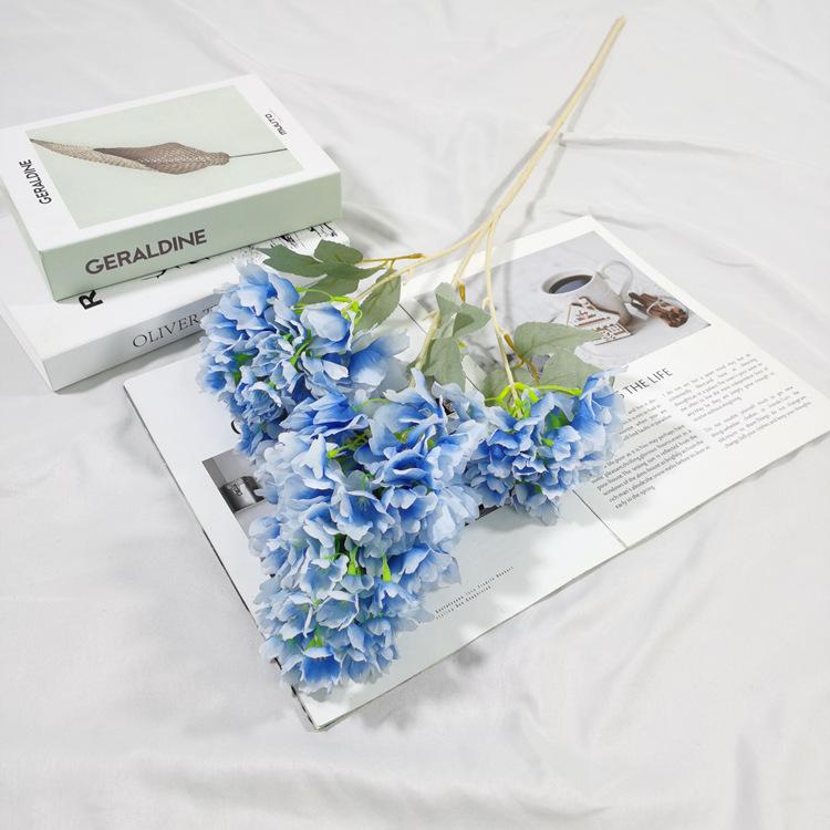 IMG_20220224_152759_副本