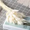 Algodão de Xinjiang Flores Secas Luxo Eterno Buquê Real Pinhões Naturais Secos ao Ar Kit de Material DIY Ornamentos Decorativos Estilo Ins