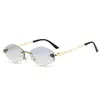 Populares Gafas de Sol Decorativas de Guepardo Sin Montura con Borde Cortado Gafas de Sol de Moda Transfronterizas Europeas y Americanas Gafas de Sol Pequeñas para Mujer