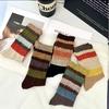 Calcetines Retro de Rayas Arcoíris Nuevos para Otoño e Invierno para Mujer, Sueltos, Populares, Modernos, Estilo Coreano, Estilo Perezoso
