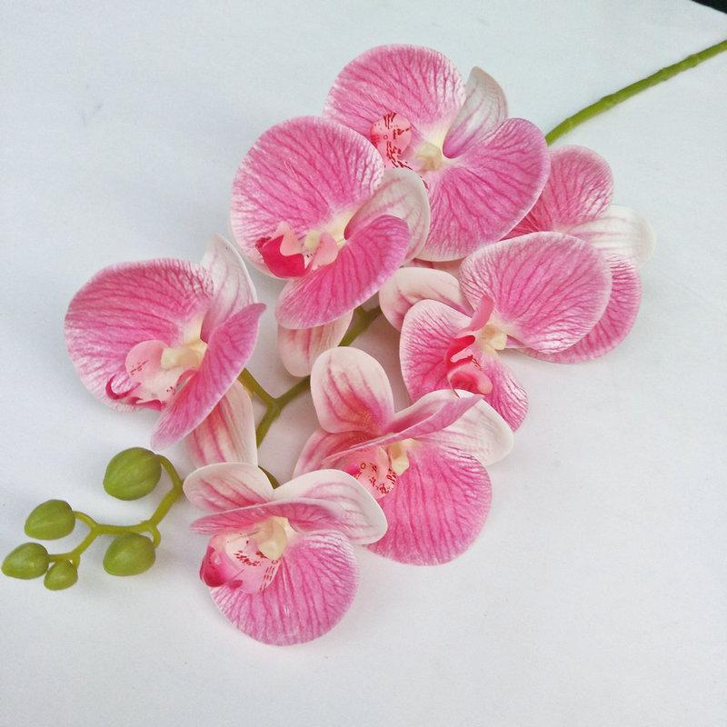 粉  7头