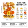 Kit de material DIY com flores secas, espécimes de plantas com flores reais prensadas, pintura de decoração para porta-retratos, um presente de aniversário para amigos e melhores amigas