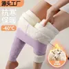 Calça Térmica de Lã Original Ultra-Grossa de Lã de Cordeiro Calça Camada Base Feminina Outono/Inverno Plus Veludo Plus Grosso Roupa Íntima Cintura Alta Dongdai Fa