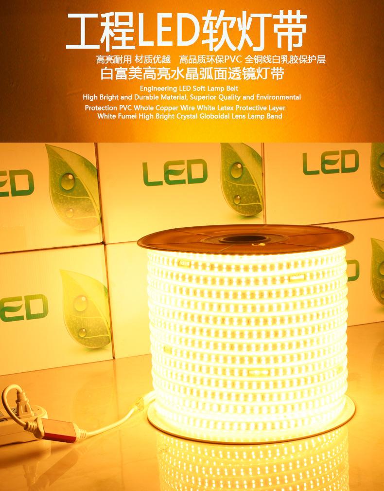 20.工程LED软灯带.jpg