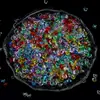 Miçangas acrílicas pequenas e chatas, suprimentos de artesanato DIY para fazer brinquedos antiestresse, contas de cristal coloridas e transparentes