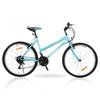 Bicicletas de Montanha Femininas de 26 polegadas Pares de Spray Oblíquo Montagem Interna V-Brake Duplo Exportação Transfronteiriça Fabricante de Bicicletas Atacado
