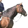 Horse Neck Protective Cover, Anti-Fly and Anti-Mosquito Horse Neck Protective Cover, Horse Neck Protector, Light and Breathable Horse Neck Cover