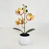 Flor Simulada Cymbidium Planta en Maceta Decoración Escandinava Oficina Sala de Estar Escritorio Interior Bonsái Planta Verde Adornos Flor Simulada