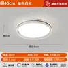 [Transfronterizo] Estilo Minimalista, Súper Brillante, Lámpara de Techo de Gama Alta para Dormitorio, Nuevo Tamaño, Adecuada para Sala de Estar y Habitación Infantil, Estilo Europeo y Americano