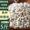 Grãos de Cevada Grandes, Atacado de Grãos de Cevada Novos de Guizhou, Podem Ser Combinados com Feijão Vermelho e Outros Grãos para Atacado