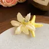Flor de Tela Estrella de Rafia Pinza Lateral para el Cabello Estilo Vacaciones en la Costa Pinza de Pato Moda Accesorio para el Cabello de Gama Alta Venta al Por Mayor