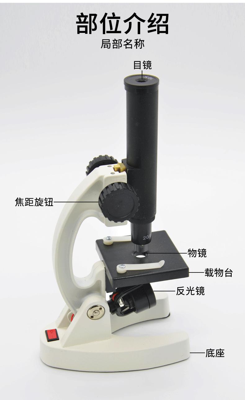 显微镜200倍-单筒_05.png