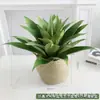 Simulação Planta Verde Bonsai Sisal Folha Grande Gladíolo Planta do Deserto Tropical Janela Paisagismo Decoração Planta Artificial Ponto