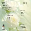 Líquido de Relleno de Aceite Esencial de Plantas de Aromaterapia de 15 ml para Difusor de Piedra de Yeso, Adornos Aromáticos, Especializado para Uso en Interiores, Fragancia de Alta Gama y Larga Duración