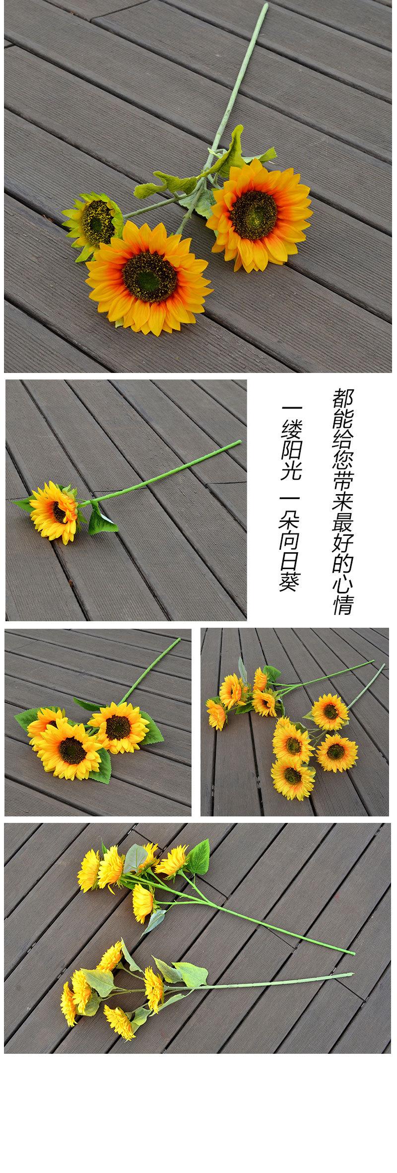 臻选向日葵_06.jpg