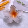 Nuevos Accesorios para el Cabello de Venta Caliente Europeos y Americanos Clip de Garra de Flor de Huevo para Mujer Color Combinable Clip de Garra para el Cabello Combinable Transfronterizo Clip de Garra para el Cabello de Cola de Caballo