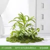 Plantas Verdes Simuladas Hy-Cm6, Plantas de Paisajismo con Musgo, Combinación de Paisaje Pequeño para Interiores, Plantas Artificiales, Decoración Biomiética