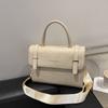 Este ano, bolsa de lazer feminina 2024, novo estilo, textura, nicho, design, bolsa mensageiro, moda, simples, portátil, pequena, bolsa quadrada