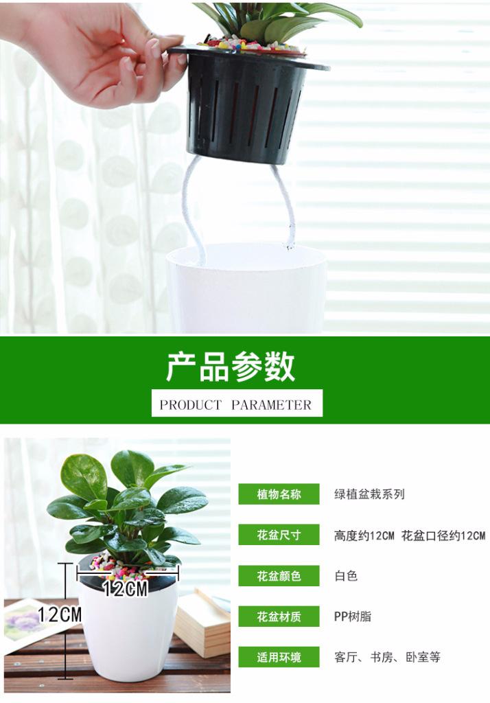 璇︾粏3
