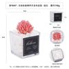 Simulación de chihuahua rojo carnoso flocado en maceta, adorno de escritorio, regalo, pequeño bonsái verde, planta de simulación TEMU