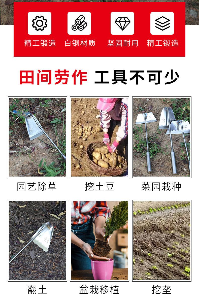 详情_02.jpg