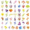 50 pegatinas transparentes de PET florales y de plantas para acuarela, de importación directa transfronteriza, con un ambiente de flor silvestre estilo bosque