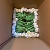 Direto da fábrica PU ovo tulipa flor eterna material decoração de casa médio médio toque hidratante