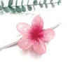 Novedad Pinza de Flor de Huevo Pinza de Pelo de Flor de Colores Retro Europea y Americana Pinza Lateral para Cabello de Mujer Pinza de Tiburón para Media Cabeza
