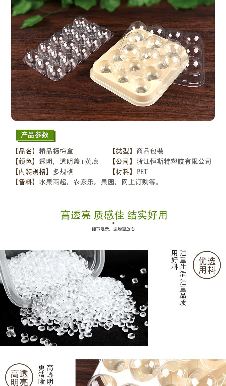 5-3-杨梅盒-详情页-1_05.jpg