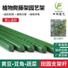 Treliça para escalada, treliça para uvas, treliça para rosas de jardim externo, jardineira de pátio, estrutura para cultivo de pepino e feijão trepadores