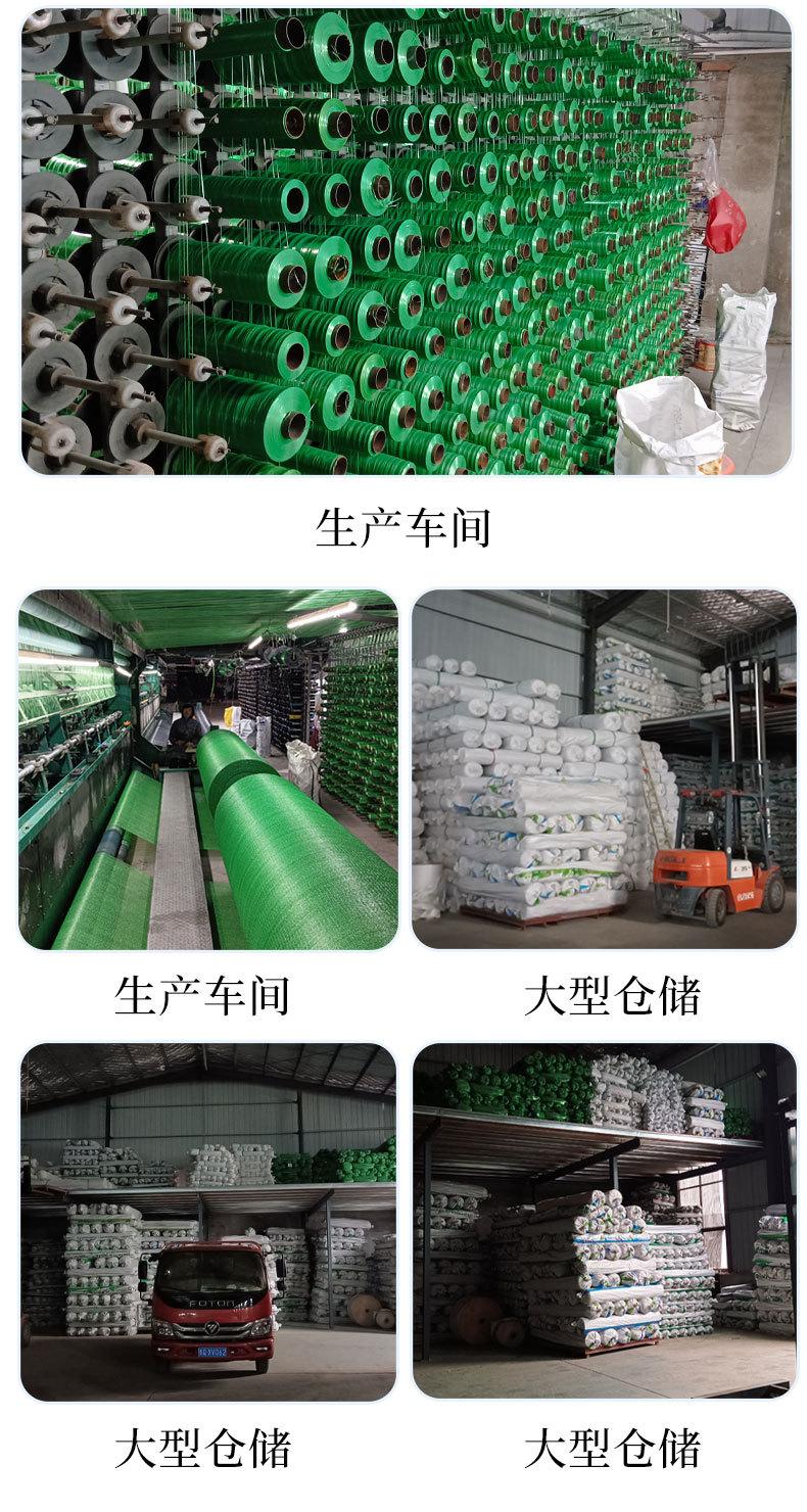 升级加密绿色_03